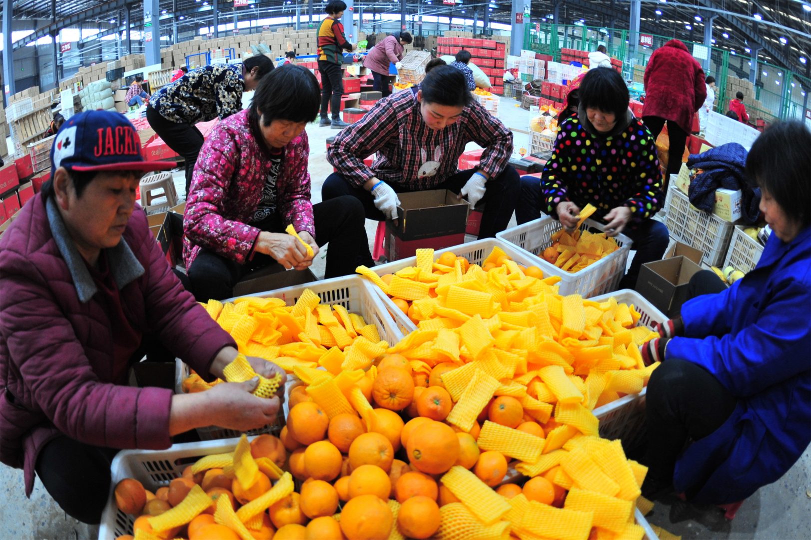 Bloomberg: Trung Quốc Đề Xuất Mua Bổ Sung 30 Tỷ USD Nông Sản Mỹ
