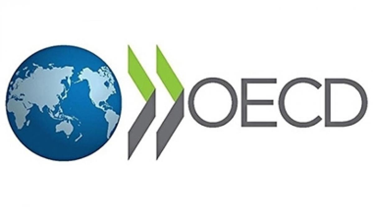 Hai Lý Do Khiến Chuyên Gia Kinh Tế Thị Trường Khối OECD Rất Lo Lắng Về Thương Mại Toàn Cầu