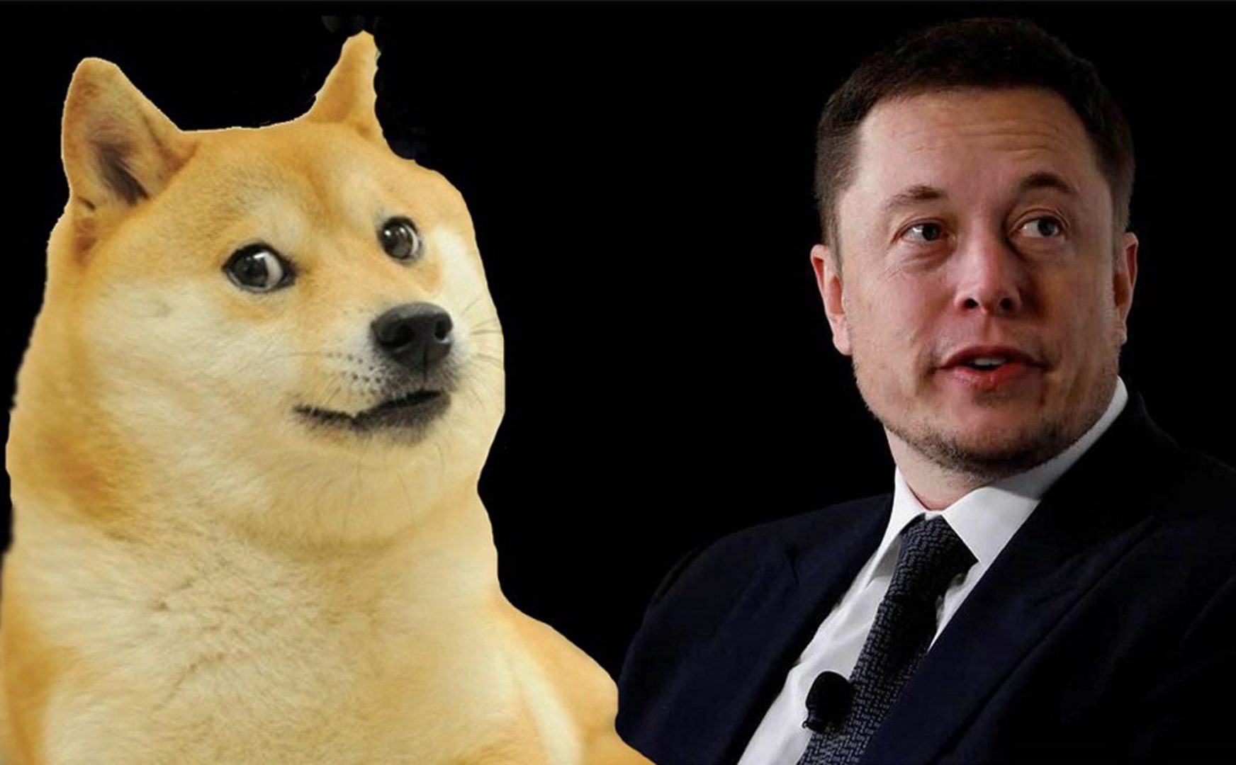 SpaceX Đã Chấp Nhận Thanh Toán Bằng Dogecoin Trong Sứ Mệnh Không Gian Mới