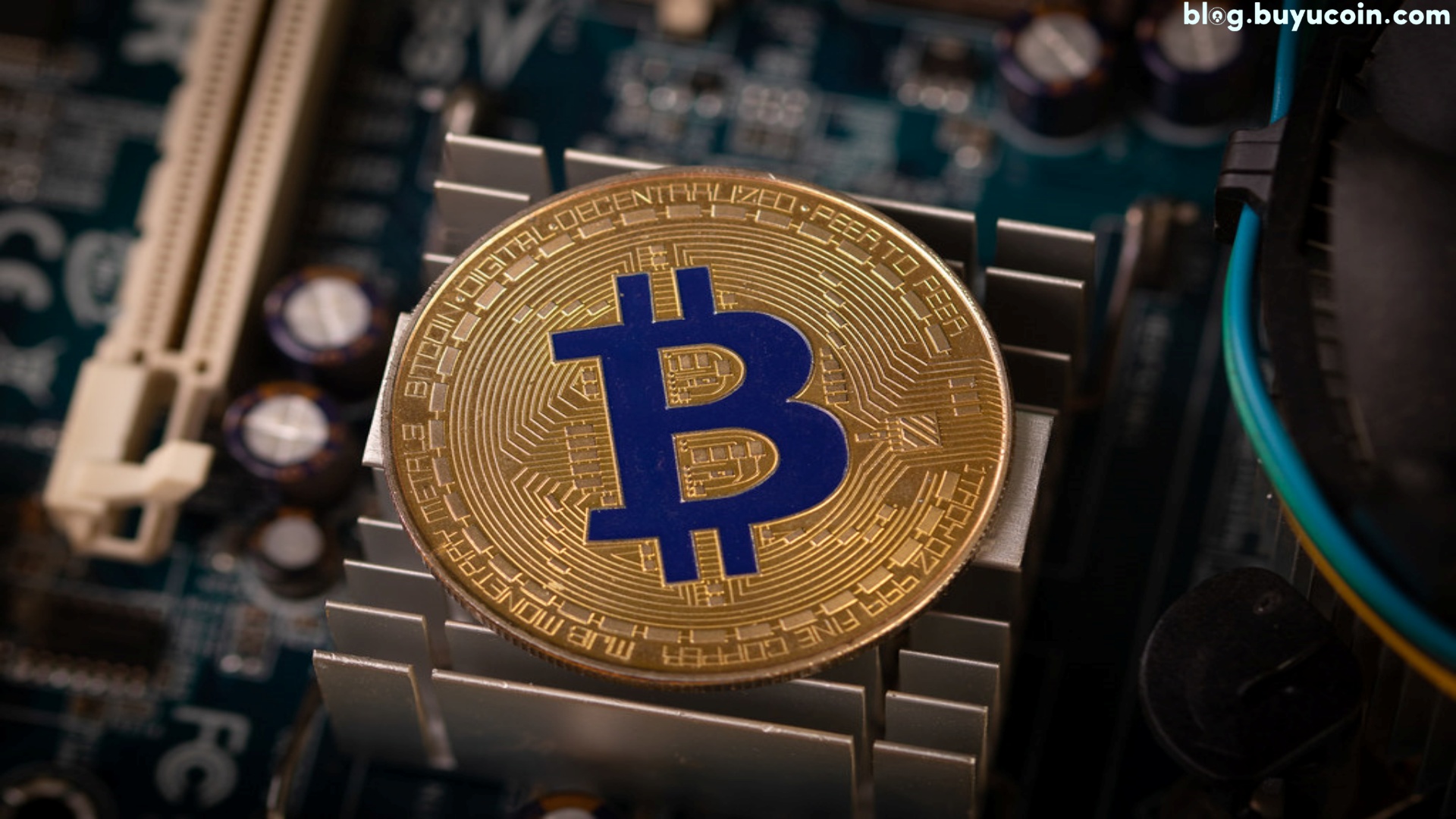 Bitcoin giảm giá: Lời cảnh báo với nhà đầu tư