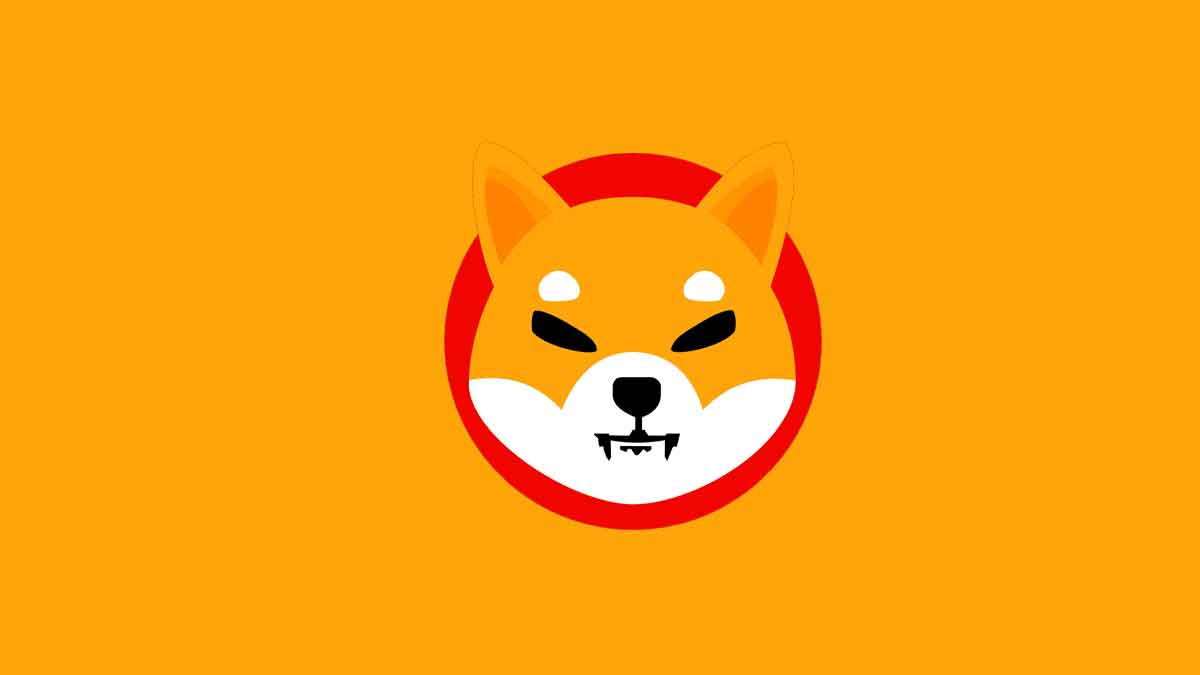 Có nên đầu tư vào đồng Shiba Inu ngay lúc này không?