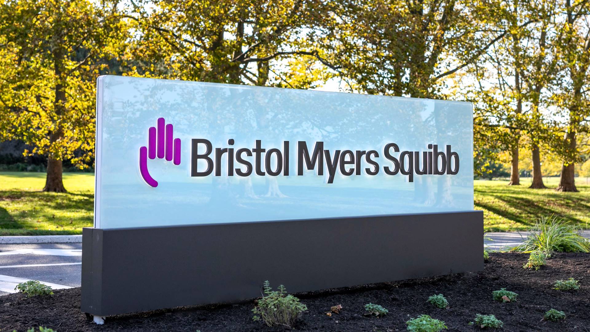 MasterCard, Bristol Myers, Amazon: 3 lựa chọn đầu tư thông minh nếu thị trường sụp đổ