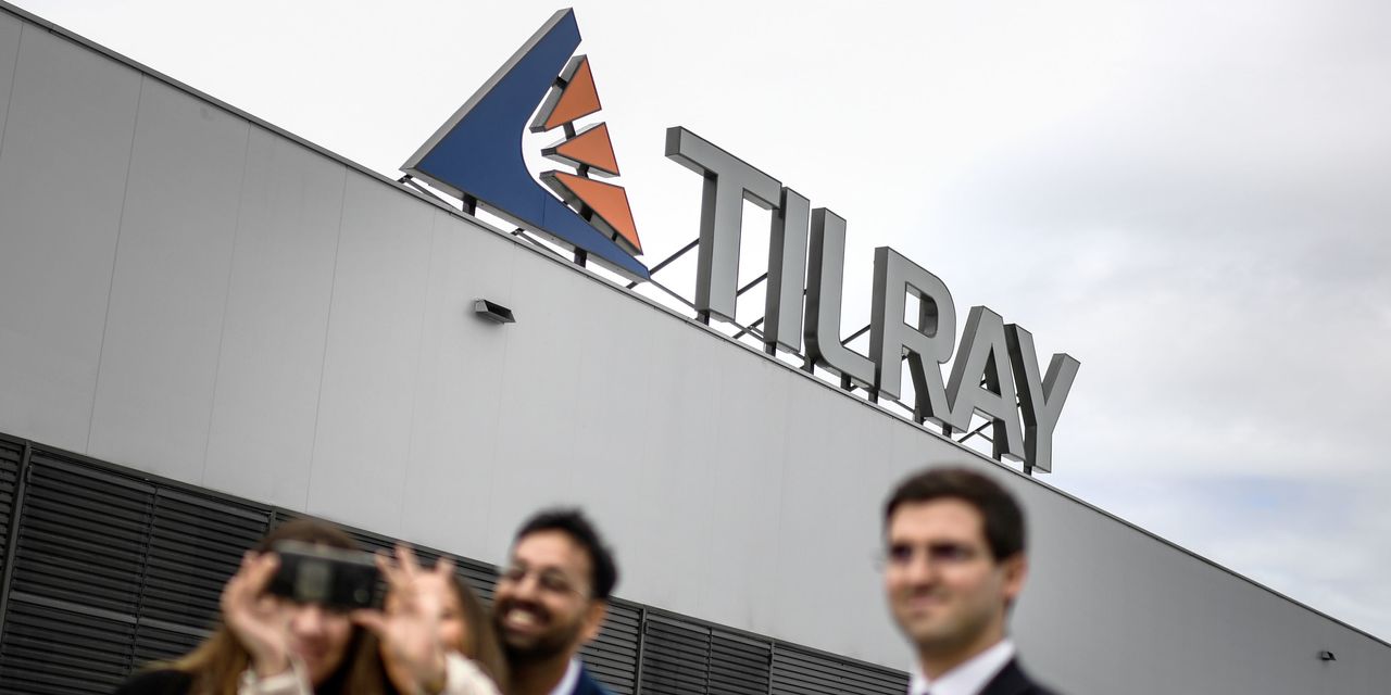 Hướng dẫn đầu tư: làm thế nào để chiến thắng với cổ phiếu Tilray