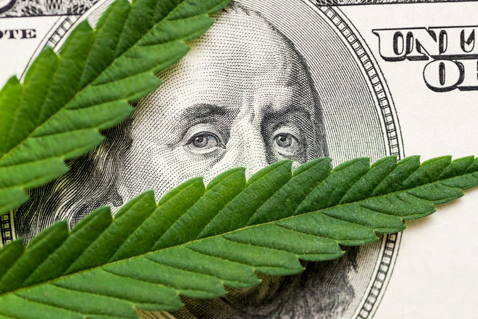 Tilray đã BCTC - nhà đầu tư có nên mua cổ phiếu?
