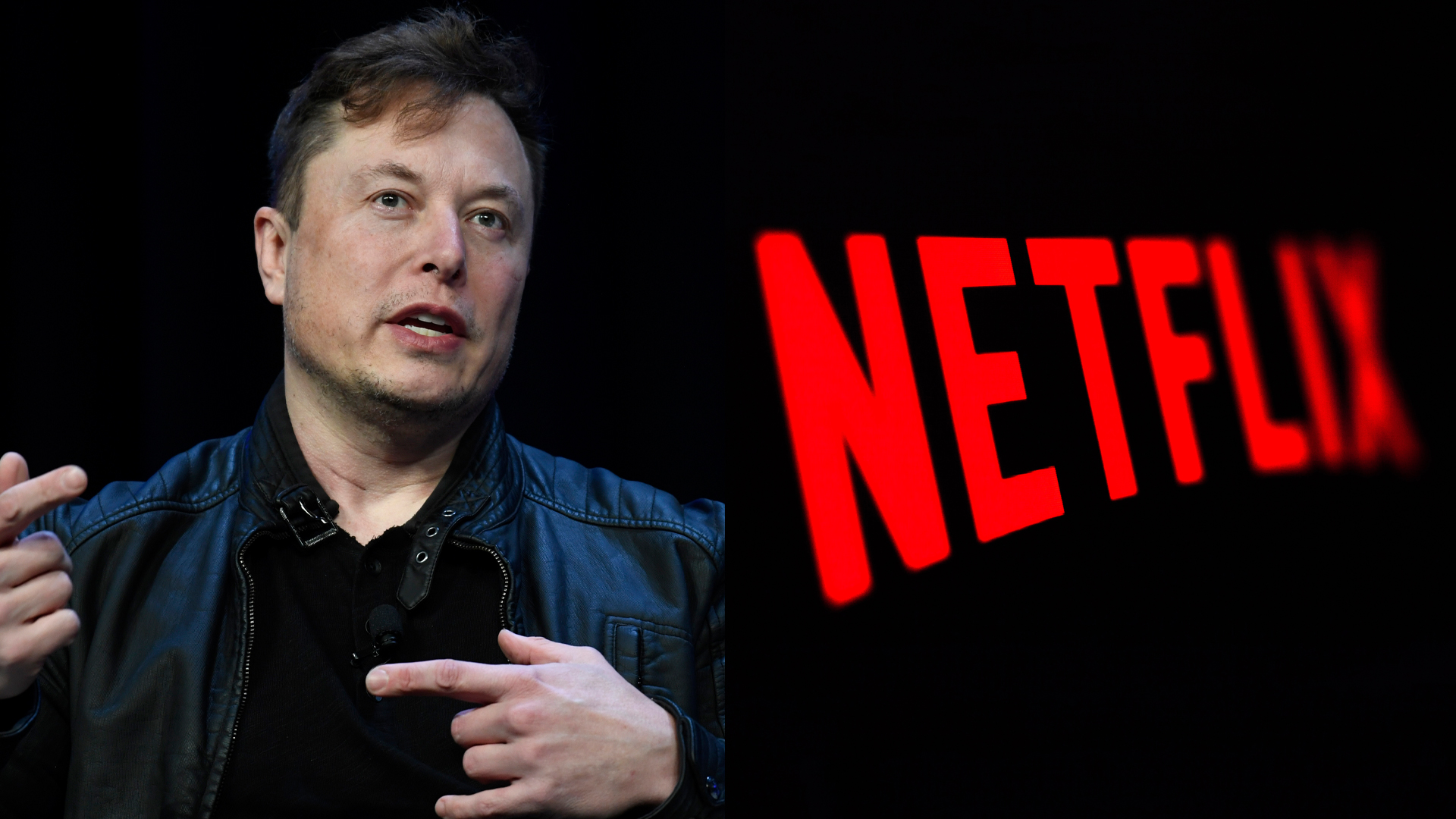 Elon Musk khen văn hóa làm việc mới của Netflix