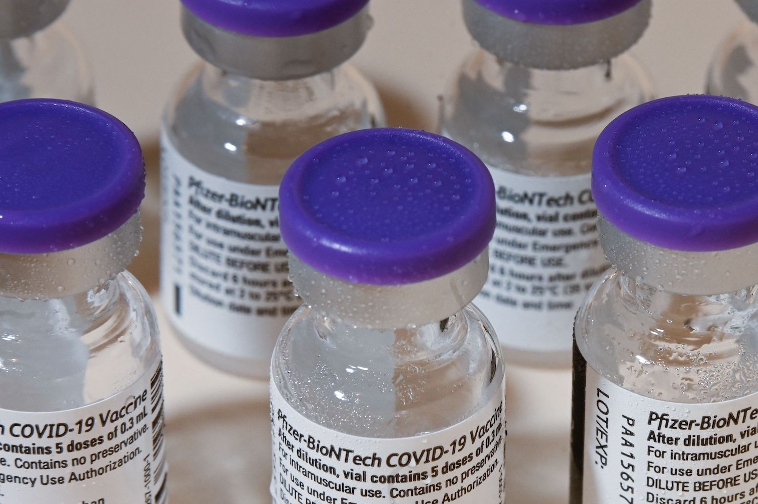 Pfizer vướng nghi vấn hiệu quả thuốc, cáo buộc đạo nhái nhưng vẫn có thể "khuấy động" thị trường