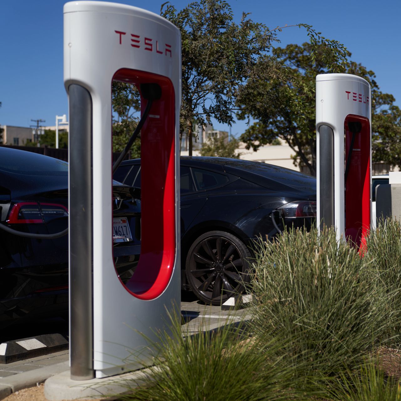 Cổ phiếu Tesla tiếp tục giảm – ngay cả một vài người phe chủ bán cũng nghĩ cổ phiếu đã giảm đủ