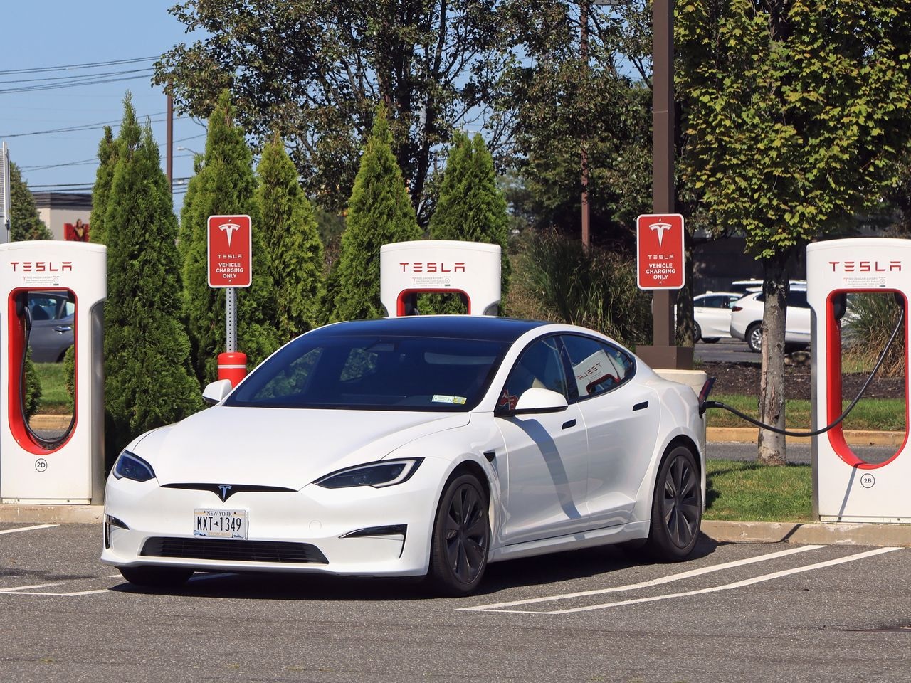 Tesla đã chấm dứt 7 phiên rực đỏ với sắc xanh hiếm hoi