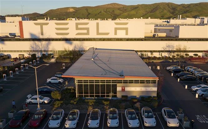 Thành công của Tesla một phần nhờ “tự chủ”