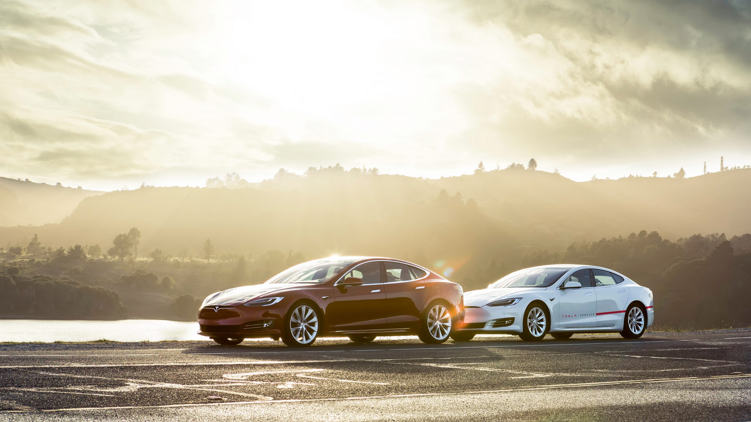 Nhận định chuyên gia: Tesla có tiềm năng tăng 60% mức giá