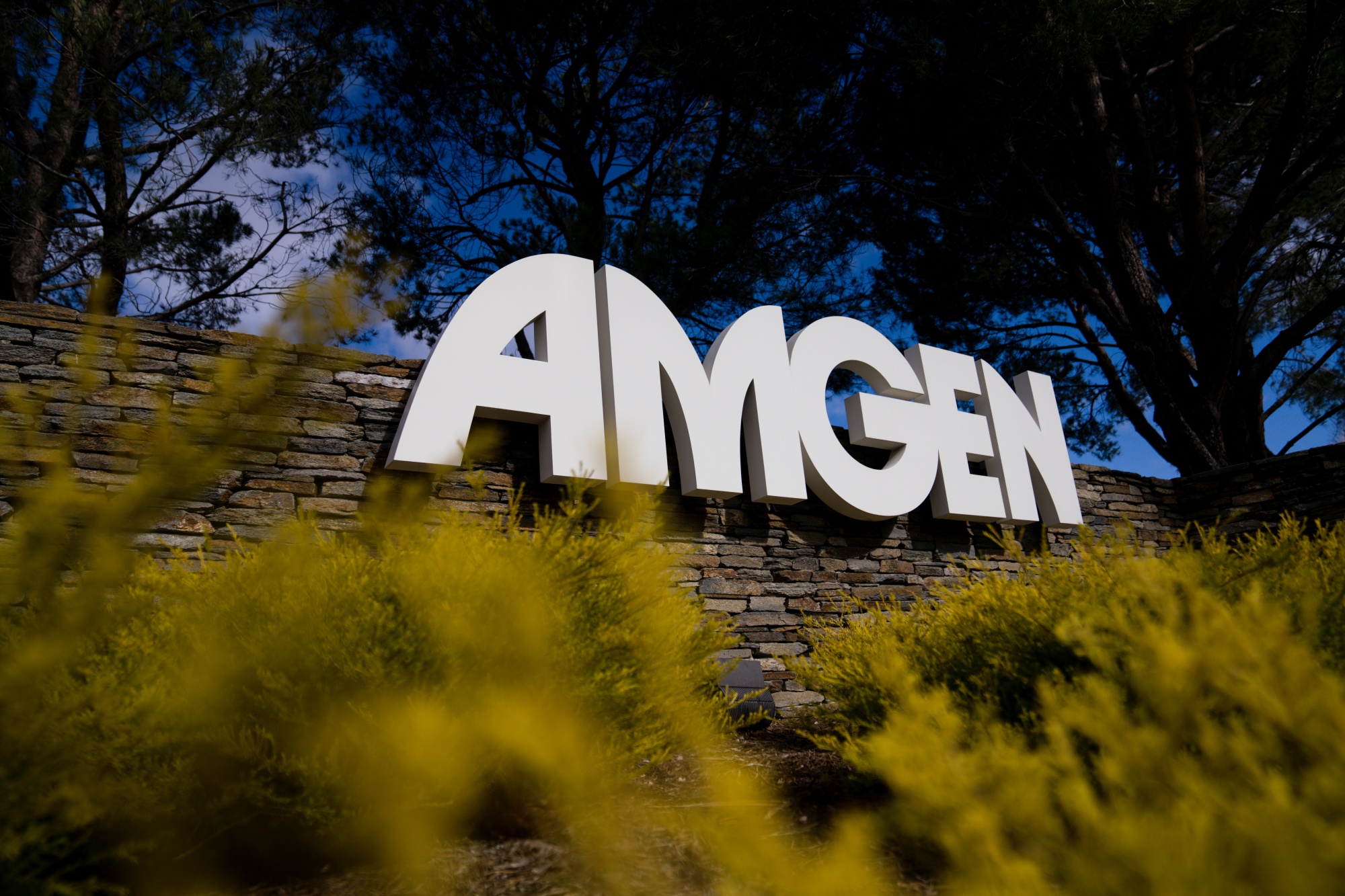 Tăng một mạch 10%, cổ phiếu Amgen đã trở lại đường đua!