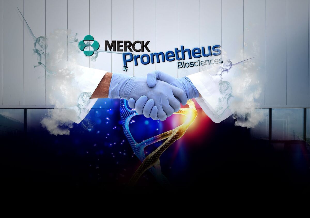 Có nên mua cổ phiếu Merck ngay bây giờ?