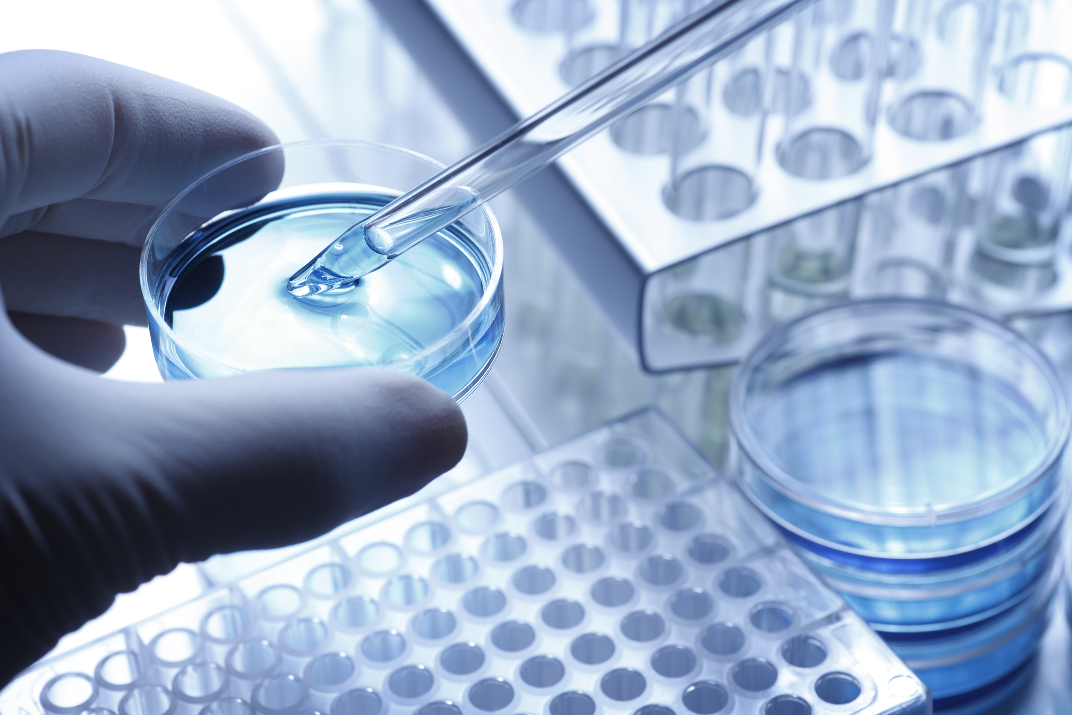 Abbvie, Bristol Myers: 2 cổ phiếu trả cổ tức bị định giá thấp đáng mua ngay lập tức