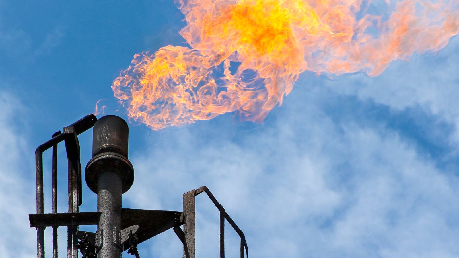  EC nỗ lực đối phó với vấn đề phát thải methane