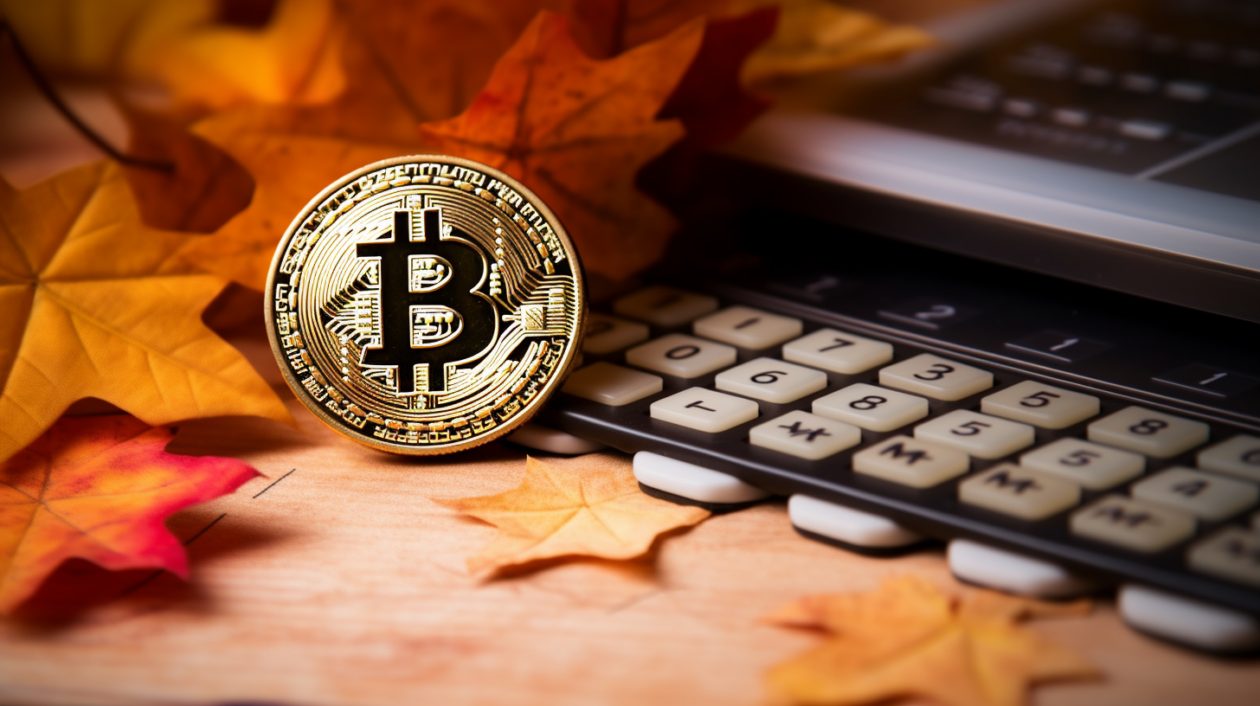 Bản tin Coin sáng ngày [01/11/2023]