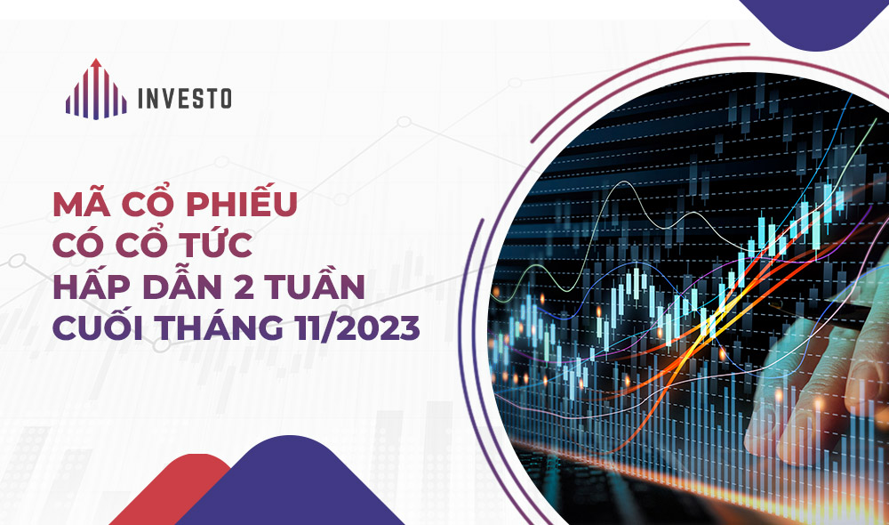 Top mã cổ phiếu có cổ tức hấp dẫn cuối tháng 11/2023