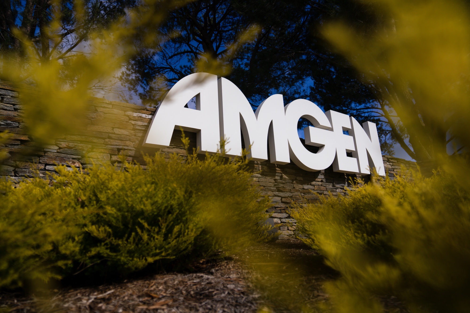 Amgen thu hút giới đầu tư, lý do là gì?
