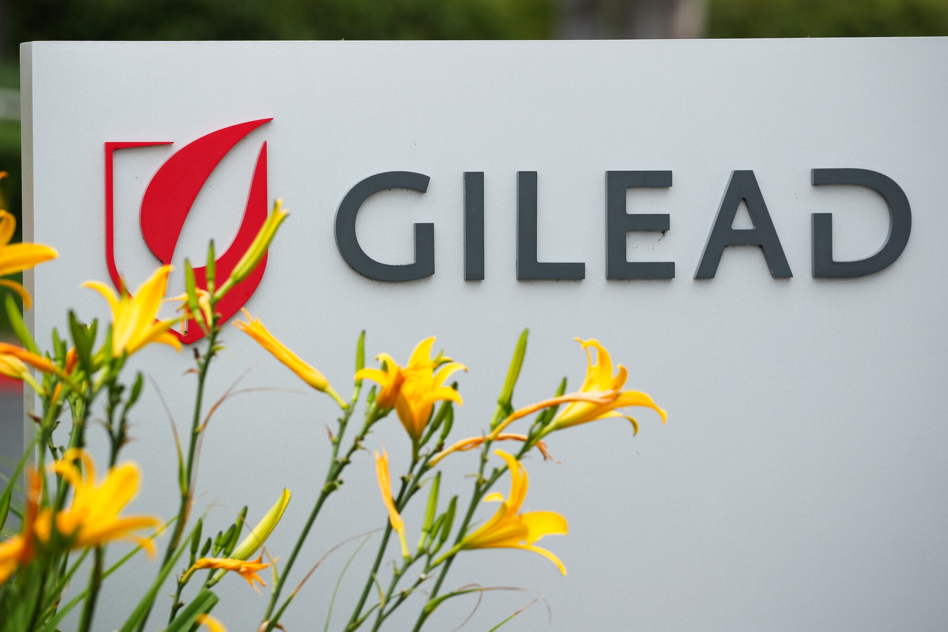 Gilead Sciences tăng trưởng bất chấp thị trường sụt giảm