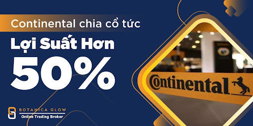 Khám phá cơ hội đầu tư sinh lời hơn 50% cùng Continental