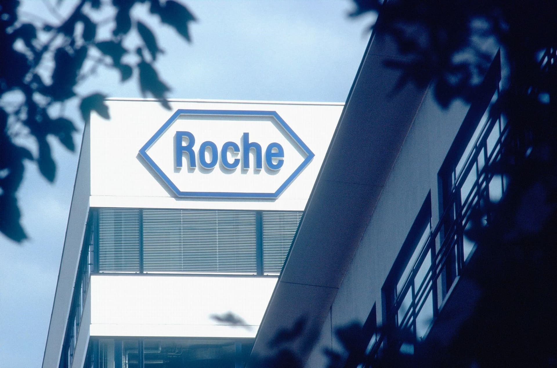 Cổ tức của Roche Holding được tăng thành 9,60 CHF